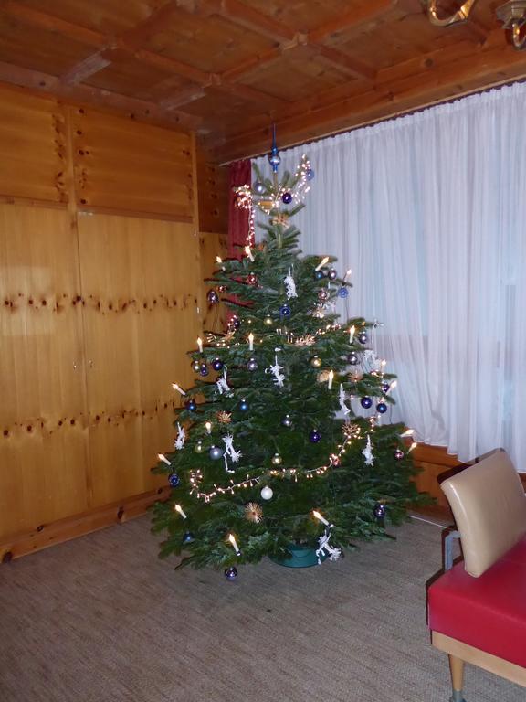 Appartement Ginschel Altenmarkt im Pongau Εξωτερικό φωτογραφία