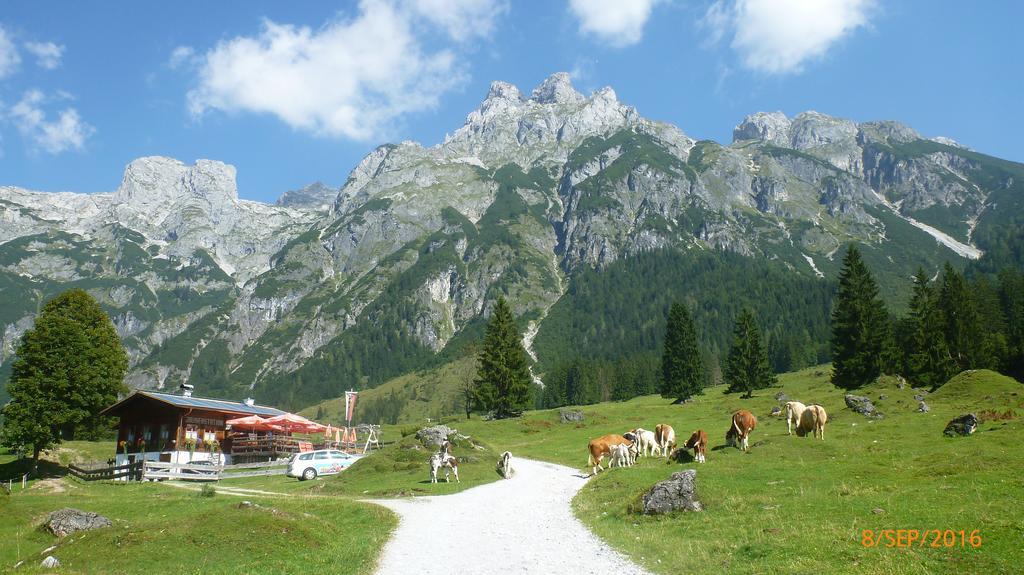 Appartement Ginschel Altenmarkt im Pongau Εξωτερικό φωτογραφία